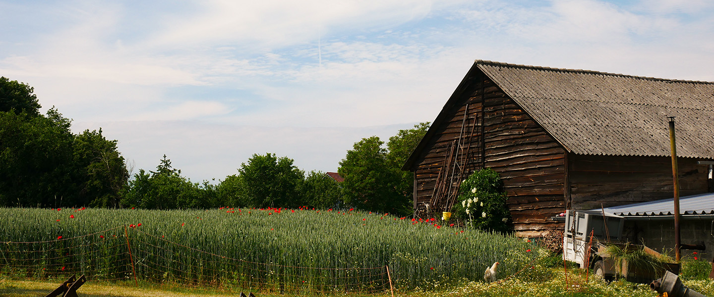 Scheune in Hermersdorf